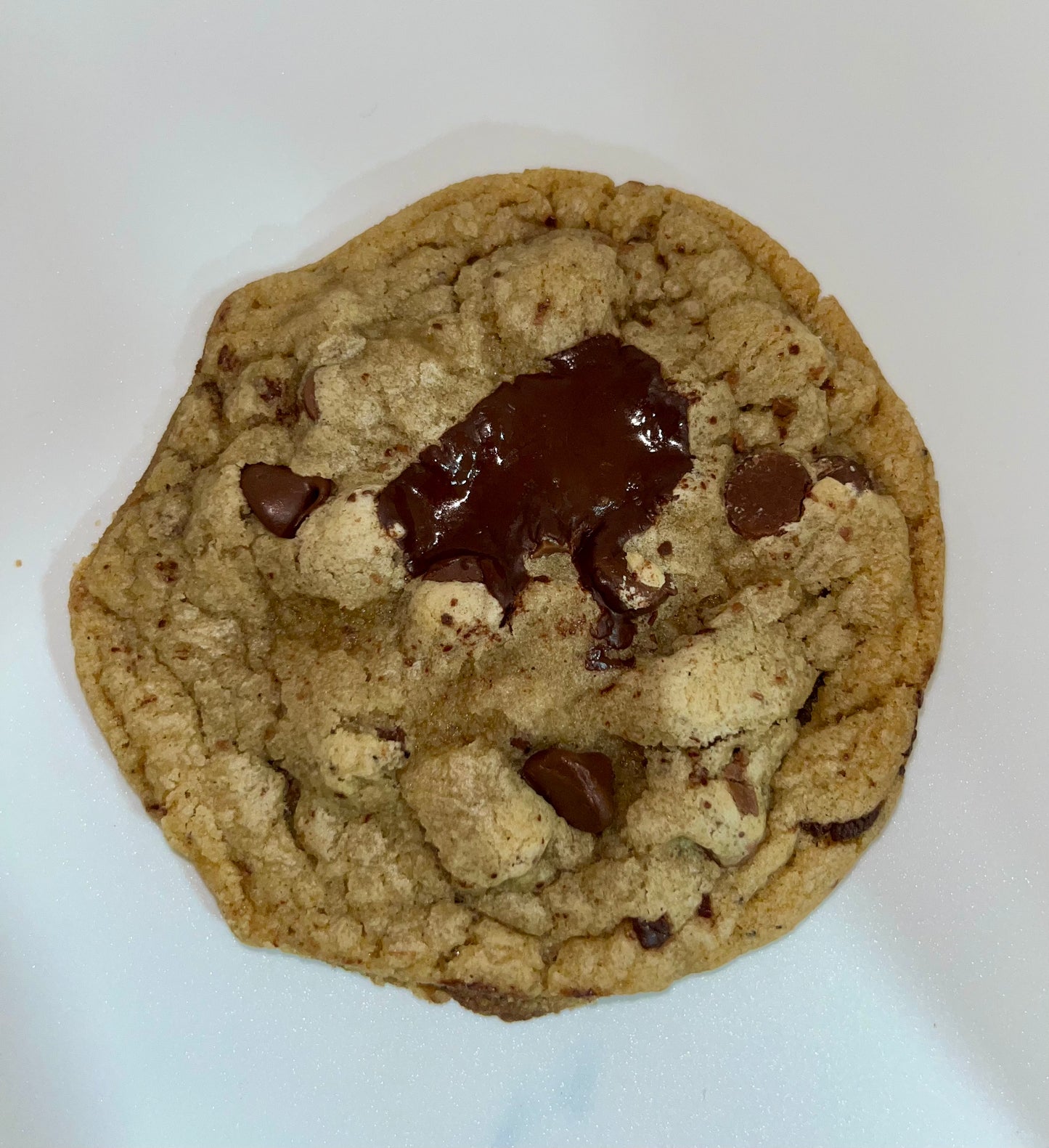 Classic Chocolate Chip Cookie